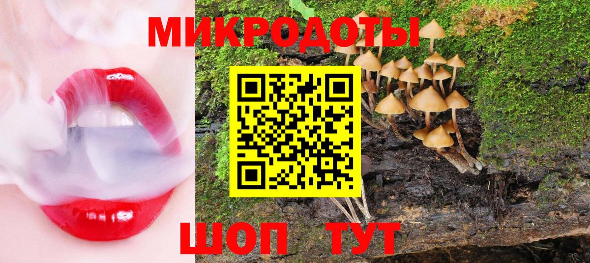 Галлюциногенные грибы Psilocybine cubensis Гусь-Хрустальный