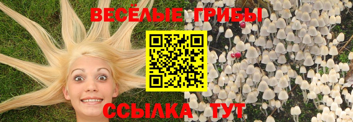 Гусь-Хрустальный  Галлюциногенные грибы прущие грибы  Вход с VPN 